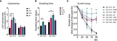 Novel kinome profiling technology reveals drug treatment is patient and 2D/3D model dependent in glioblastoma